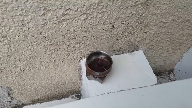 ФРАНЦИЯ. СУПЕР УЖИН У ФРАНЦУЗСКОЙ СВЕКРОВИ. ЛАЙФХАК ФРАНЦУЗАКОГО СВЁКРА ОТ ОС И КОМАРОВ смотреть онлайн