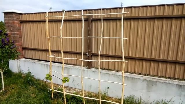 Деревянная шпалера для винограда