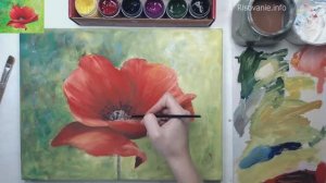 Полный пошаговый урок по рисованию мака гуашью