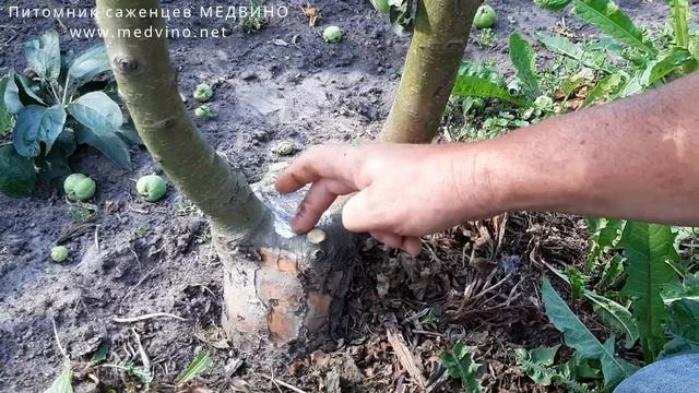 Архитектурный Мир