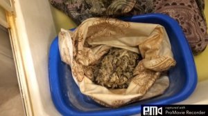 Самый простой способ стирать перьевую подушку.И перья не летают!