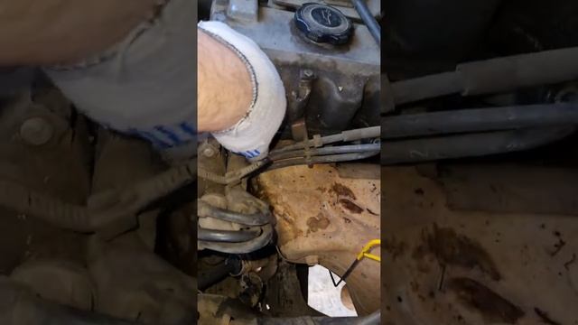 Nissan vanette, двигатель F8, расположение номера ,VIN , кузов , двигатель смотреть онлайн