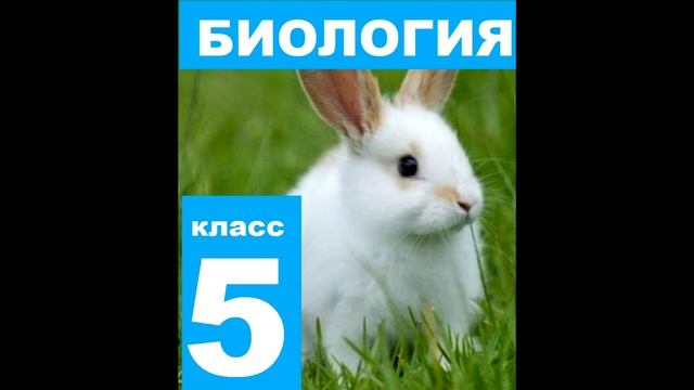 § 30 Не станет ли Земля пустыней? смотреть онлайн