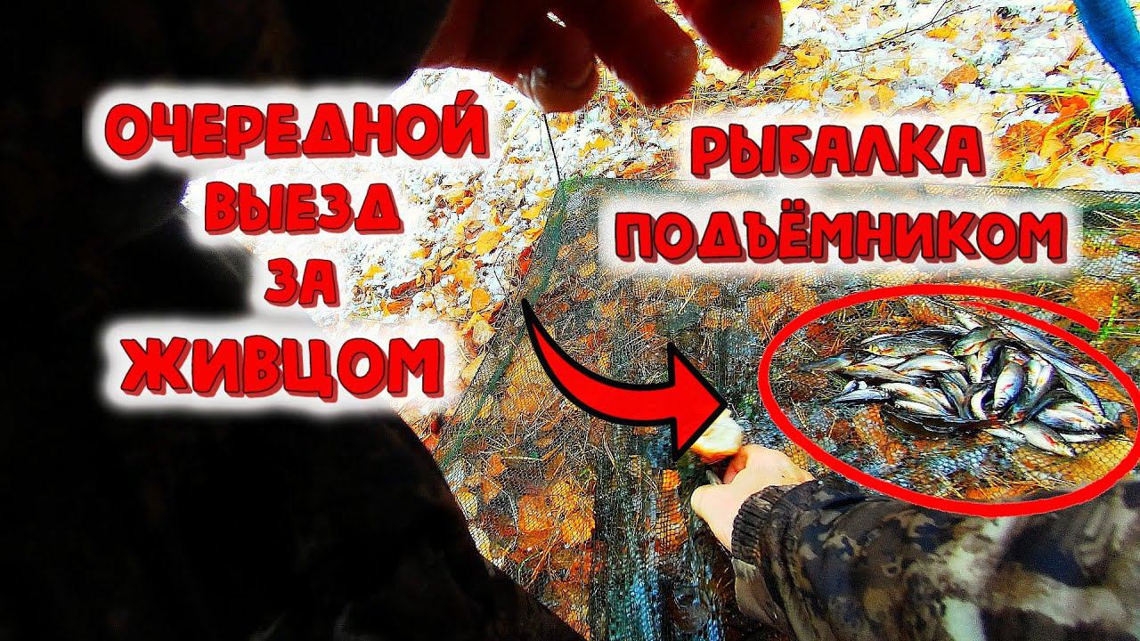 ✔ Рыбалка подъёмником,пауком Как наловить живца осенью? Очередной выезд на пруд за живцом смотреть онлайн