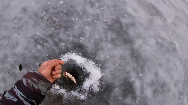 зимняя рыбалка | Рыбалка УДАЛАСЬ | щука ГОЛОДНАЯ!!!