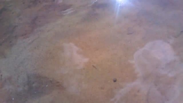 МАША СУПЕР кормит рыбок в реке! смотреть онлайн