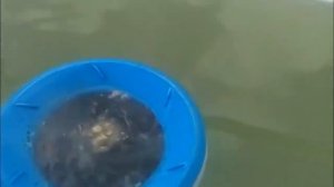 Бассейн каркасный Intex Prism Frame Pool   366х122 см