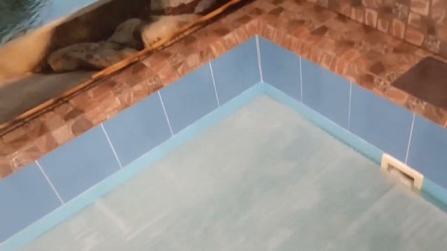 Бассейн в бане и очистка воды смотреть онлайн