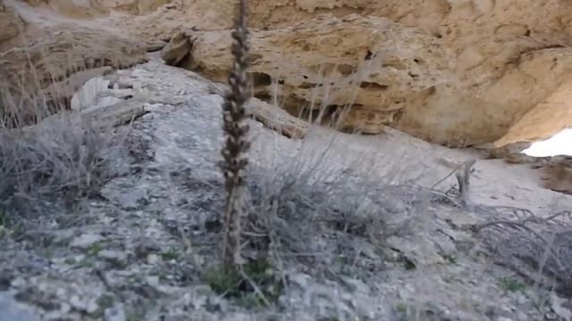 Впадина "Карагие" смотреть онлайн