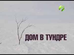 Арктика.Live: «Дом в тундре»