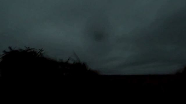 Вепрь молот 12 калибра охота на гуся осенью