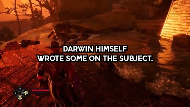 What Are Some Messed Up Animal Facts? смотреть онлайн