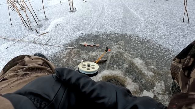 ПЕРВЫЙ ЛЁД 2022-23 ЕЛЕ ВЫТАЩИЛ! НАШЁЛ ОКУНЯ В КАМЫШАХ!!! Зимняя рыбалка 2022-2023 смотреть онлайн
