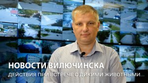 Памятка о действиях при встрече с дикими животными