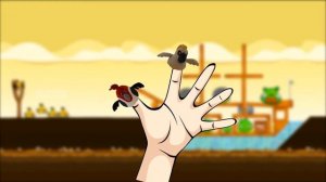 Finger Family ANGRY BIRDS | BIRD Nursery Rhymes for Children 3D Animation