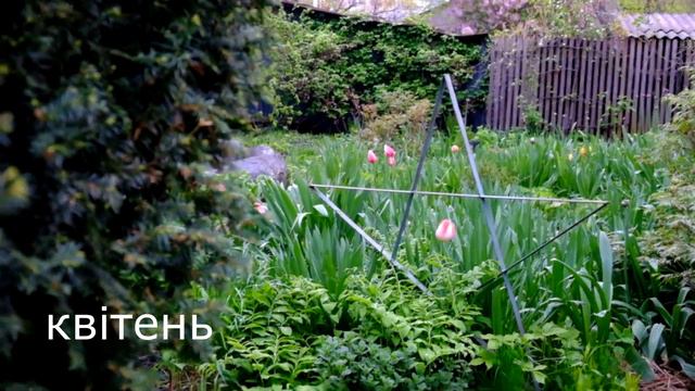 с весны до осени смотреть онлайн