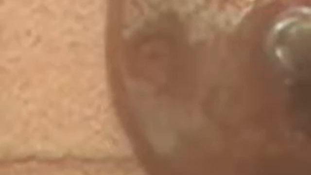 Panasonic SDR-S26 Extreme zoom! смотреть онлайн
