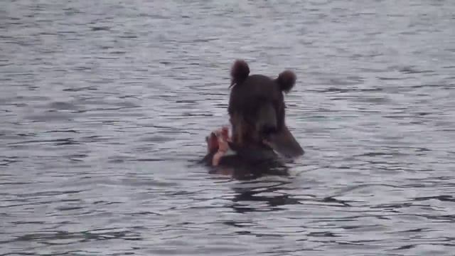 Камчатка смотреть онлайн