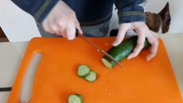СДЕЛАЛ САЛАТ С ЯЙЦОМ И ОГУРЦОМ) смотреть онлайн
