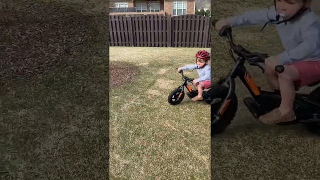 Harley Davidson Electric Bikes w/ toddlers #harleydavidson #harleydavidsonbikes #toddleractivities смотреть онлайн