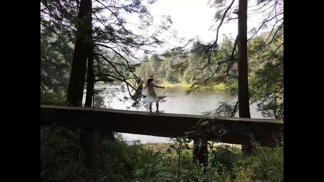 ADI SHAKTI Mantra on Celtic Harp.Cynthia Ishtar, Malika Elena смотреть онлайн
