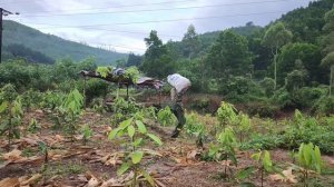 Full video: 110 days of building houses on stilts, bamboo floors, kitchens, toilets... building far