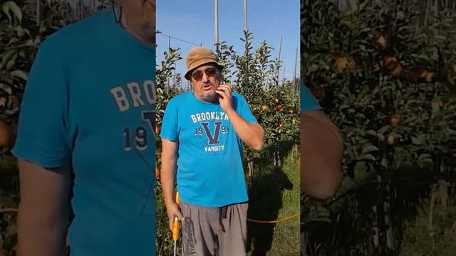 Садовый мотоопрыскиватель 098 413 1111 смотреть онлайн