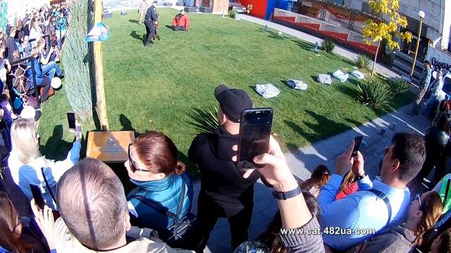 6 Национальная выставка собак всех пород, Club№1Fest, арт механика, 20102019 смотреть онлайн