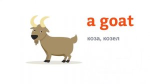 30 домашних животных на английском языке для детей с озвучкой и переводом.