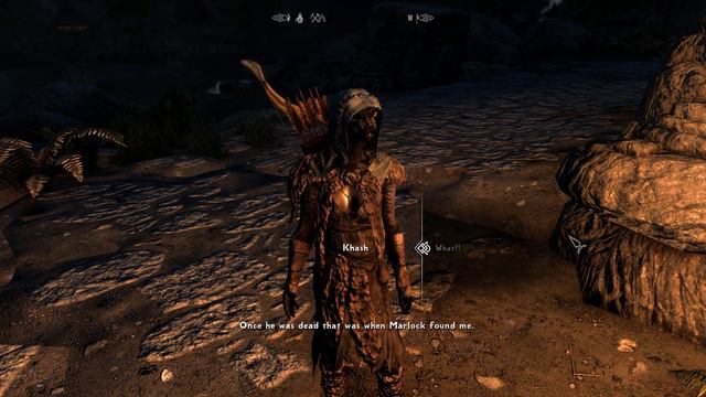 Khash - Fully Vocied Argonian Girl Follower смотреть онлайн