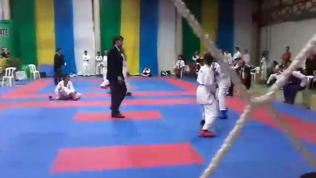 Brasileiro de Karatê 2016 смотреть онлайн