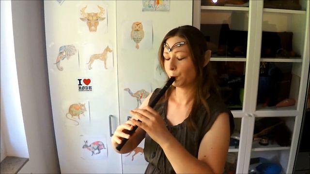 May it be - The lord of the rings - Enya - Tin whistle cover смотреть онлайн