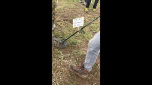 Garrett AT MAX  впечатления, быстрые тесты в грунте и  "нэйл боард тест"