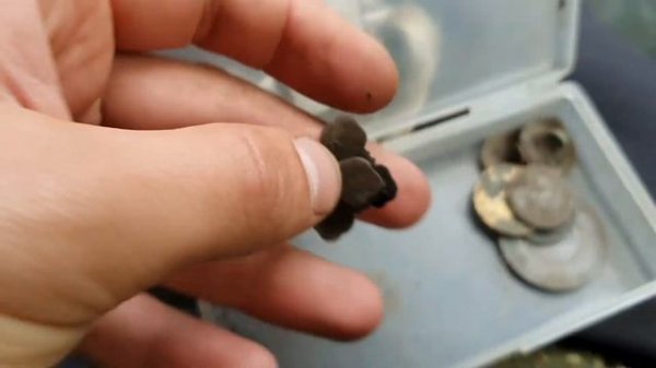 Копаем с Simplex Plus (Симплекс Плюс)? и Фишер Ф11 на старом хуторе вот и посыпались монеты, кольц