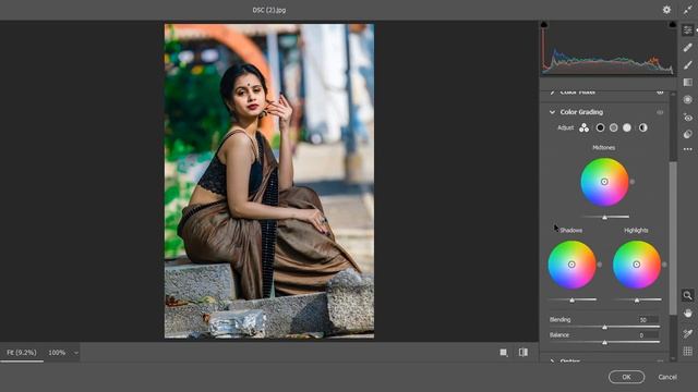 Soft Nature Green & Golden Tone | Free Lightroom Preset | DNG & XMP file | Virtual life photoshop смотреть онлайн