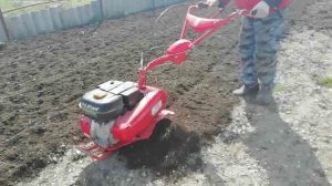 Пахота фрезами огорода при помощи мотоблока