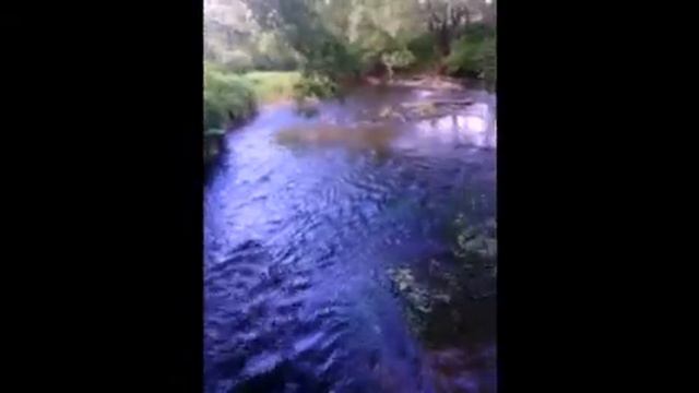 Мини VLOG#1 | Речка | Крапива | Лиса Games смотреть онлайн