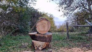 HUSQVARNA 592XP VS STIHL MS 661 20» bar