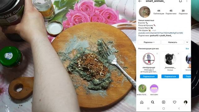 ДЕНЬ РОЖДЕНИЯ ПОПУГАЯ КРОШКА . Готовим домашние зерновые палочки из ? смотреть онлайн