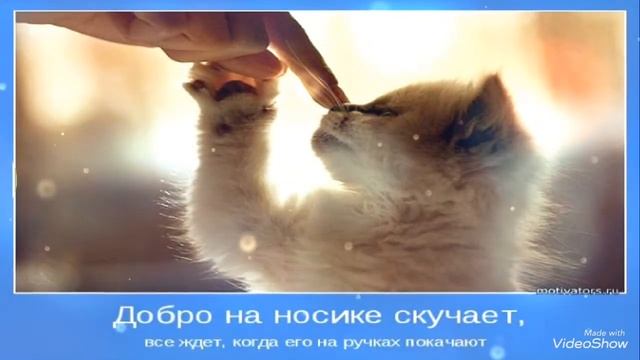 С Днем Доброты! Дарите всем ДОБРО...!!!! смотреть онлайн