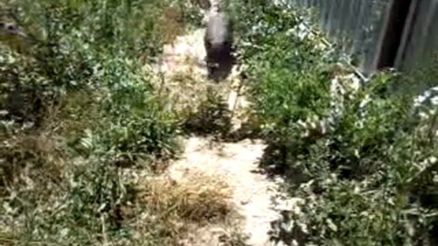 Ко мне смотреть онлайн