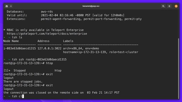 Teleport Access Plane Demo | SSH, Applications, Databases & Kubectl смотреть онлайн