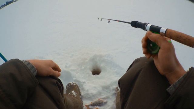 Рыбалка на волге, окунь на балансир в глухозимье, редкие поклевки. 22.01.2022 смотреть онлайн