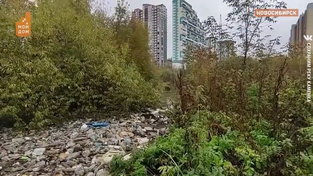 Это не мой мусор, но моя Планета! Новосибирцы вышли на субботник смотреть онлайн