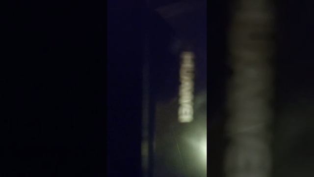 гр начной гость чау бамбино смотреть онлайн