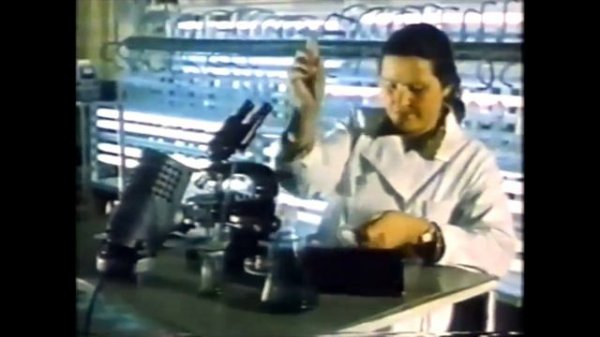 Кремний (Silicium, Silicon, Silex, SiO2). Живое в неживом.