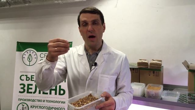 Технология выращивания семян микрозелени СЕЕМ СЕМЕНА смотреть онлайн