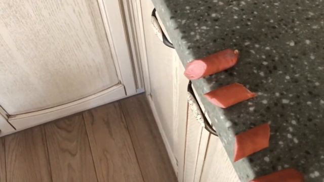 Французские бульдоги на прогреве... смотреть онлайн