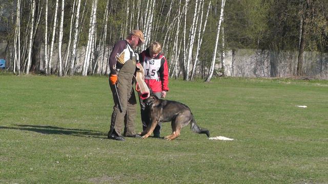 Чемпионат Московской области 2016 г. по ОКД и ЗКС. смотреть онлайн