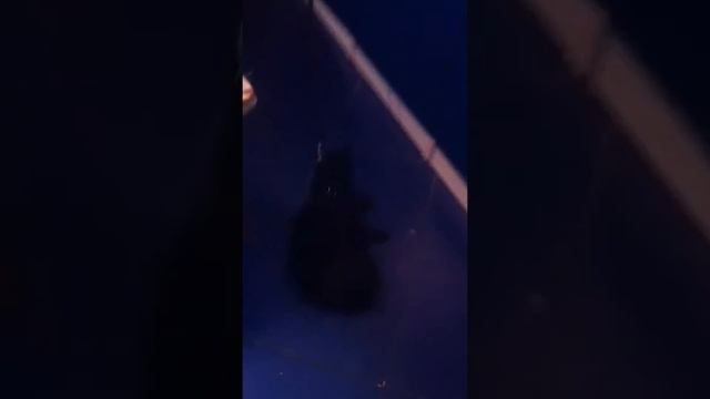 Половая тряпка смотреть онлайн